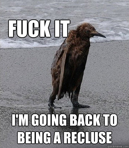 fuck it im going back to being a recluse - Fuck it