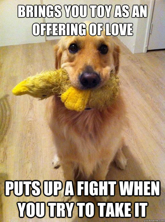 brings you toy as an offering of love puts up a fight when y -