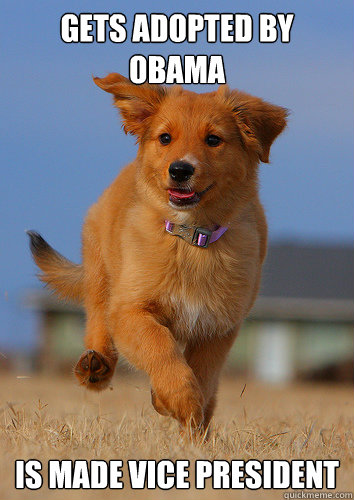 gets adopted by obama is made vice president - Ridiculously Photogenic Puppy