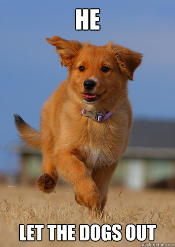 he let the dogs out - Ridiculously Photogenic Puppy