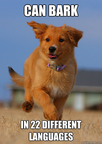 can bark in 22 different languages - Ridiculously Photogenic Puppy