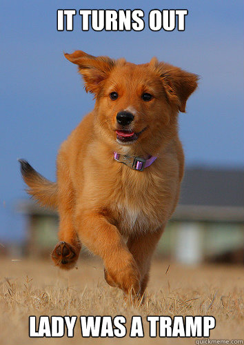 it turns out lady was a tramp - Ridiculously Photogenic Puppy