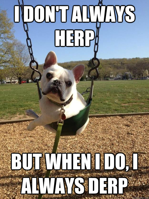 i dont always herp but when i do i always derp -