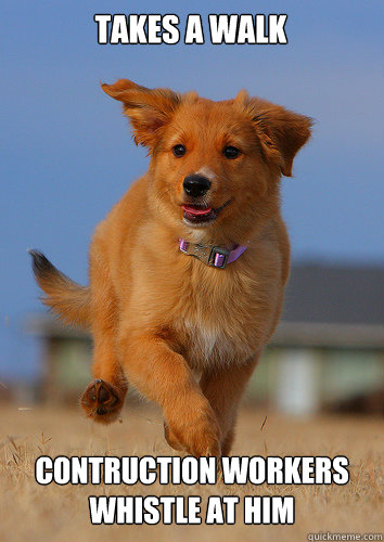 takes a walk contruction workers whistle at him - Ridiculously Photogenic Puppy