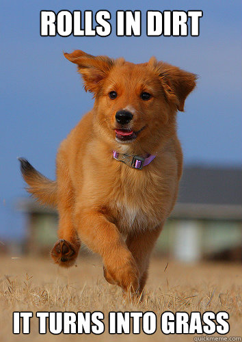 rolls in dirt it turns into grass - Ridiculously Photogenic Puppy