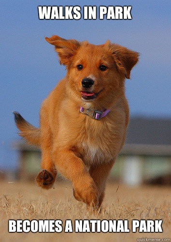 Walks in park Becomes national park - Ridiculously Photogenic Puppy