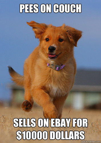 pees on couch sells on ebay for 10000 dollars - Ridiculously Photogenic Puppy