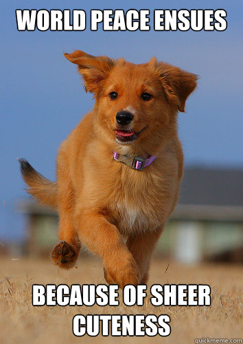 world peace ensues because of sheer cuteness - Ridiculously Photogenic Puppy