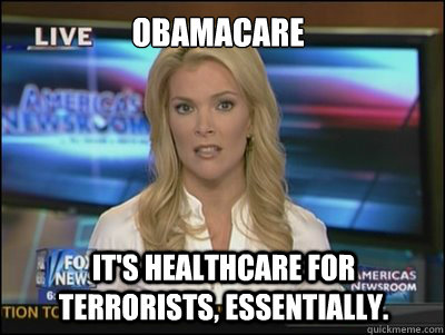 obamacare its healthcare for terrorists essentially - Megyn Kelly