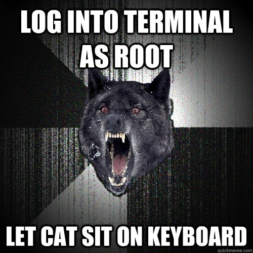 log into terminal as root let cat sit on keyboard - Insanity Wolf