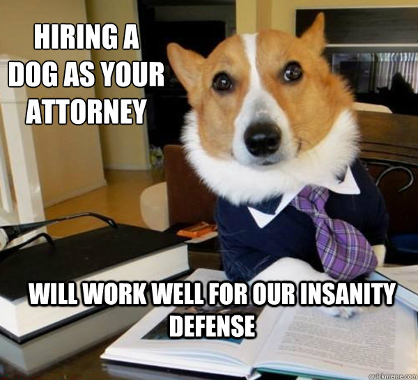 hiring a dog as your attorney will work well for our insanit - Lawyer Dog