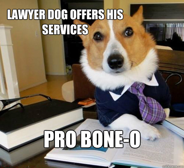 lawyer dog offers his services pro boneo - Lawyer Dog