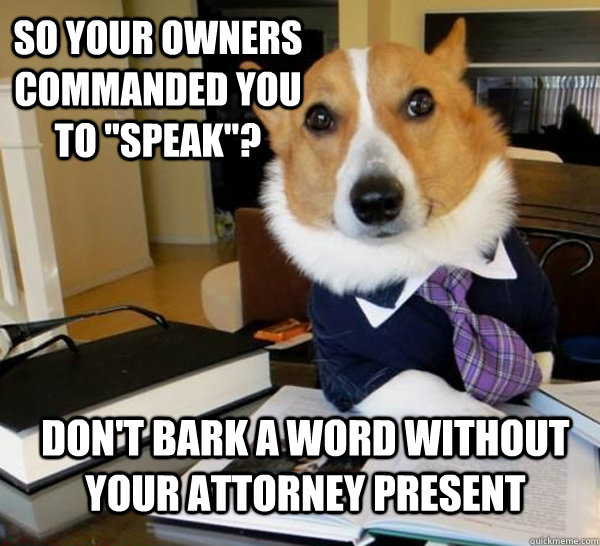 so your owners commanded you to speak dont bark a word w - Lawyer Dog