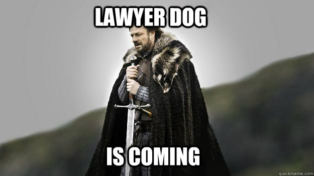 lawyer dog is coming - Ned stark winter is coming