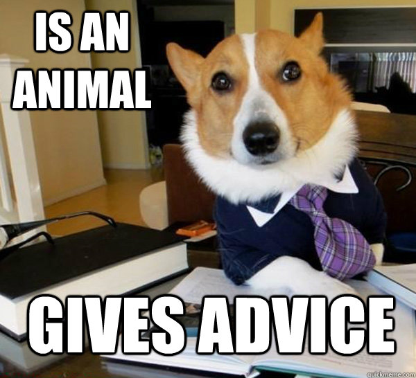 is an animal gives advice - Lawyer Dog