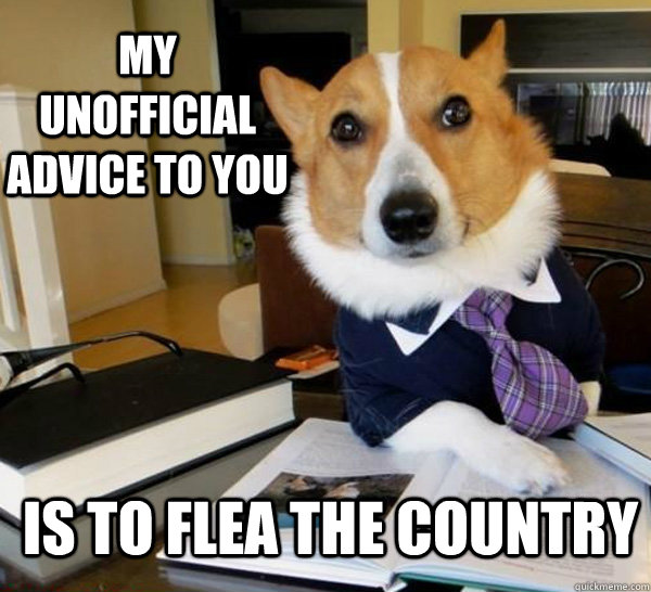 my unofficial advice to you is to flea the country - Lawyer Dog