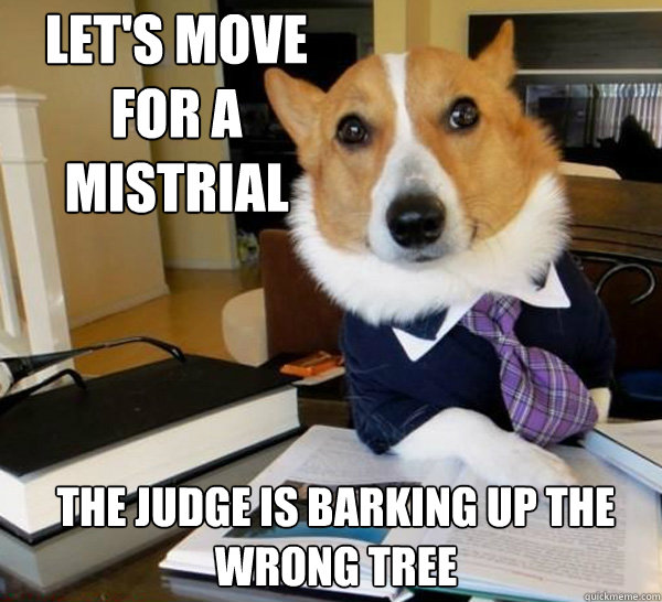 lets move for a mistrial the judge is barking up the wrong - Lawyer Dog