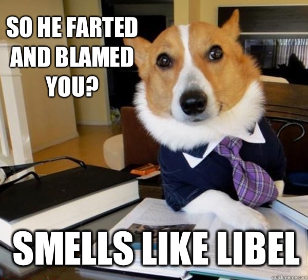 SO HE farted and blamed you ENTRAPMEN - Lawyer Dog