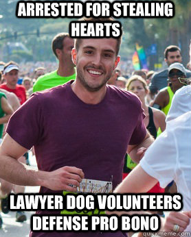 arrested for stealing hearts lawyer dog volunteers defense p - Ridiculously photogenic guy