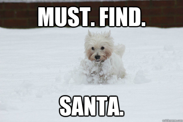 must find santa - Daisy the Dog