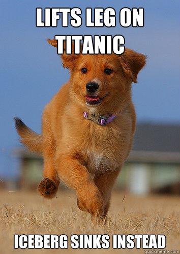 lifts leg on titanic iceberg sinks instead - Ridiculously Photogenic Puppy