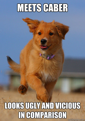 meets caber looks ugly and vicious in comparison - Ridiculously Photogenic Puppy