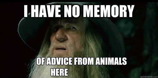 i have no memory of advice from - I have no memory Gandalf
