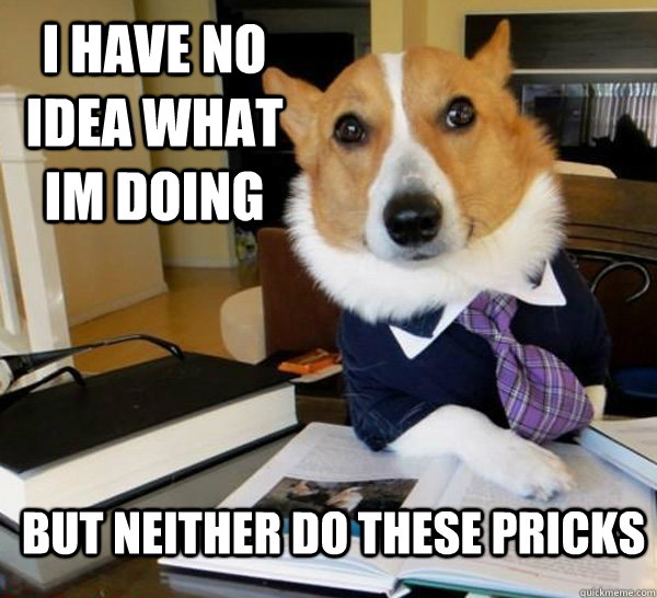 i have no idea what im doing but neither do these pricks - Lawyer Dog