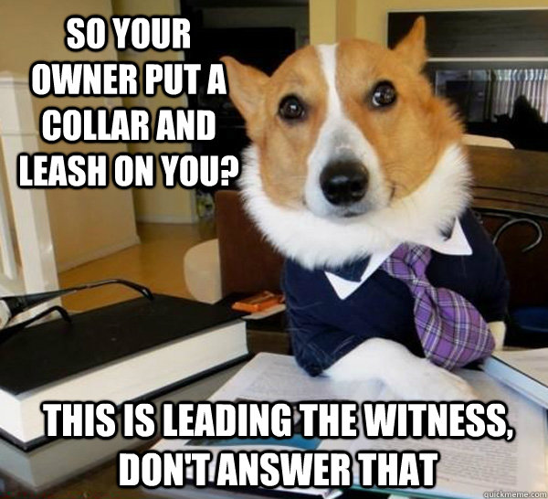 so your owner put a collar and leash on you this is leading - Lawyer Dog