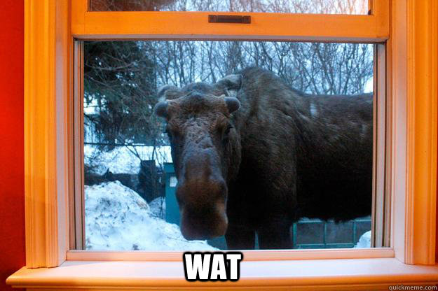 wat - Wat Moose