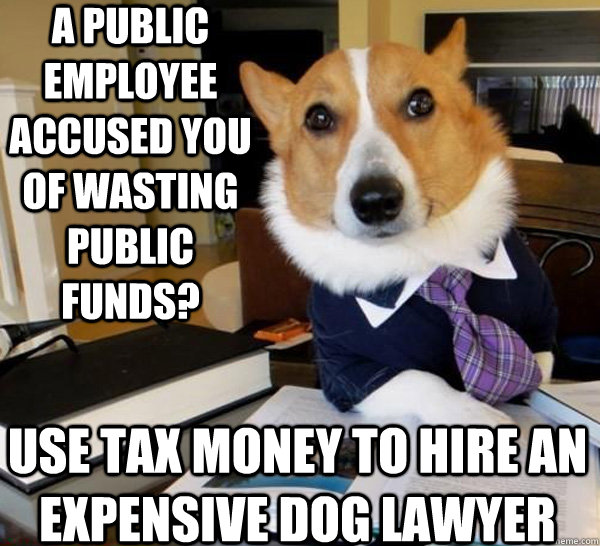 a public employee accused you of wasting public funds use t - Lawyer Dog