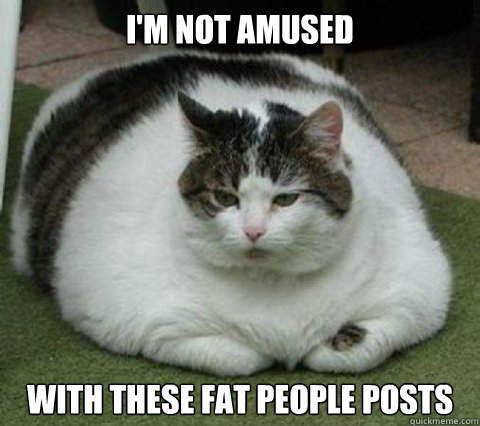 im not amused with these fat people posts - Chubby Cat