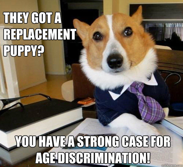 they got a replacement puppy you have a strong case for age - Lawyer Dog