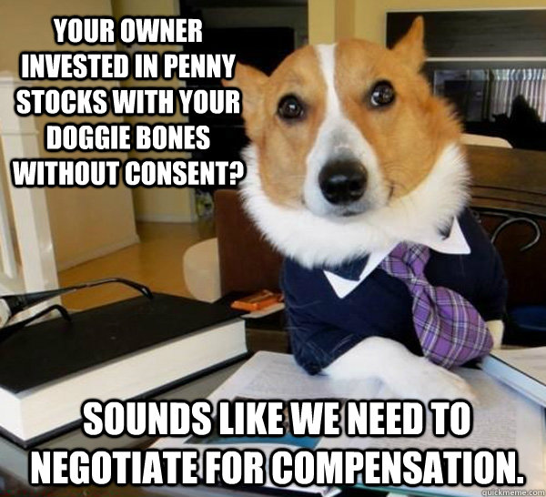 your owner invested in penny stocks with your doggie bones w - Lawyer Dog