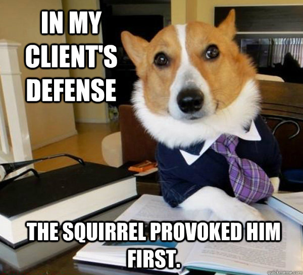 in my clients defense the squirrel provoked him first  - Lawyer Dog