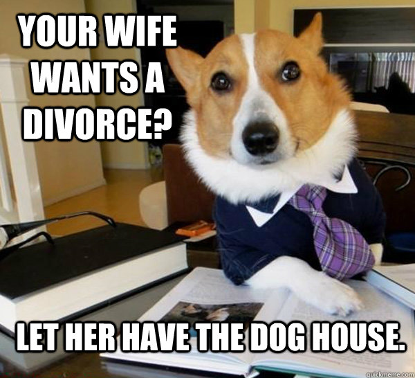 your wife wants a divorce let her have the dog house  - Lawyer Dog