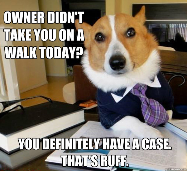 owner didnt take you on a walk today you definitely have a - Lawyer Dog