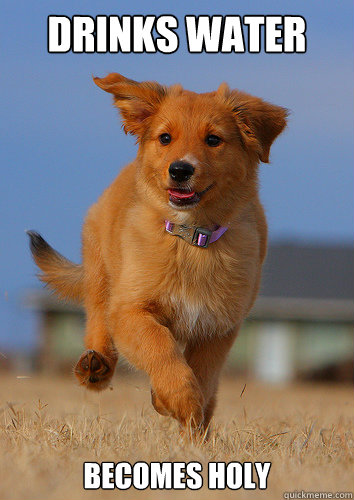 drinks water becomes holy - Ridiculously Photogenic Puppy