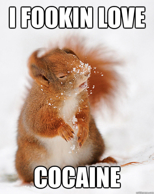 i fookin love cocaine - cover squirrel