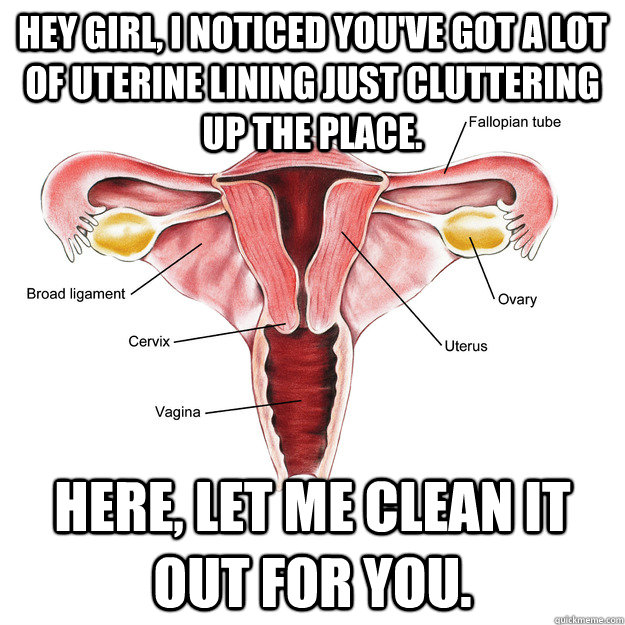 hey girl i noticed youve got a lot of uterine lining just - Scumbag uterus