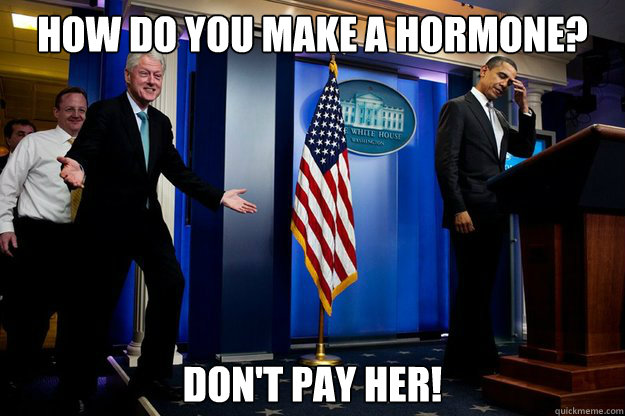 how do you make a hormone dont pay her - Inappropriate Timing Bill Clinton