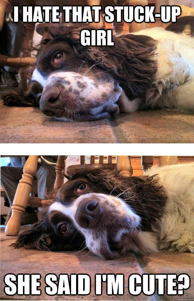 i hate that stuckup girl she said im cute - Suddenly interested dog
