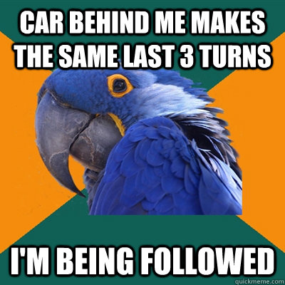 car behind me makes the same last 3 turns im being followed - Paranoid Parrot