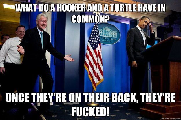 what do a hooker and a turtle have in common once theyre o -