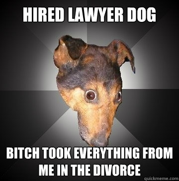 hired lawyer dog bitch took everything from me in the divorc - Depression Dog