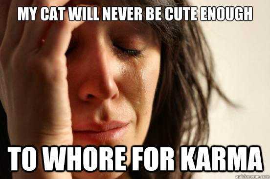 my cat will never be cute enough to whore for karma - First World Problems