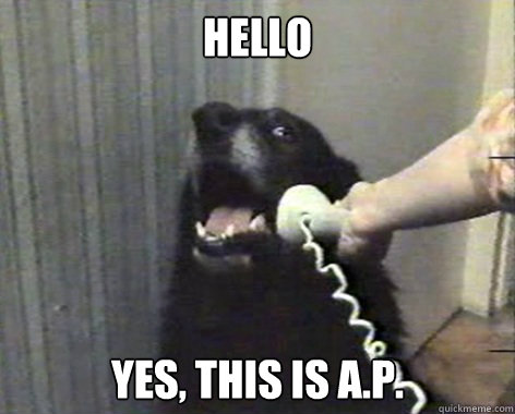 hello yes this is ap - ap dog