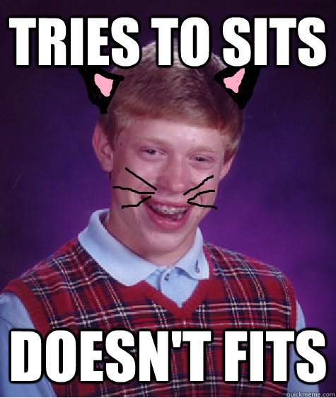tries to sits doesnt fits - bad luck brian cat