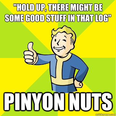 hold up there might be some good stuff in that log pinyon - Fallout new vegas
