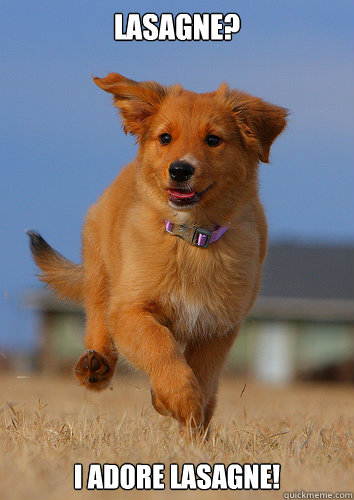lasagne i adore lasagne - Ridiculously Photogenic Puppy